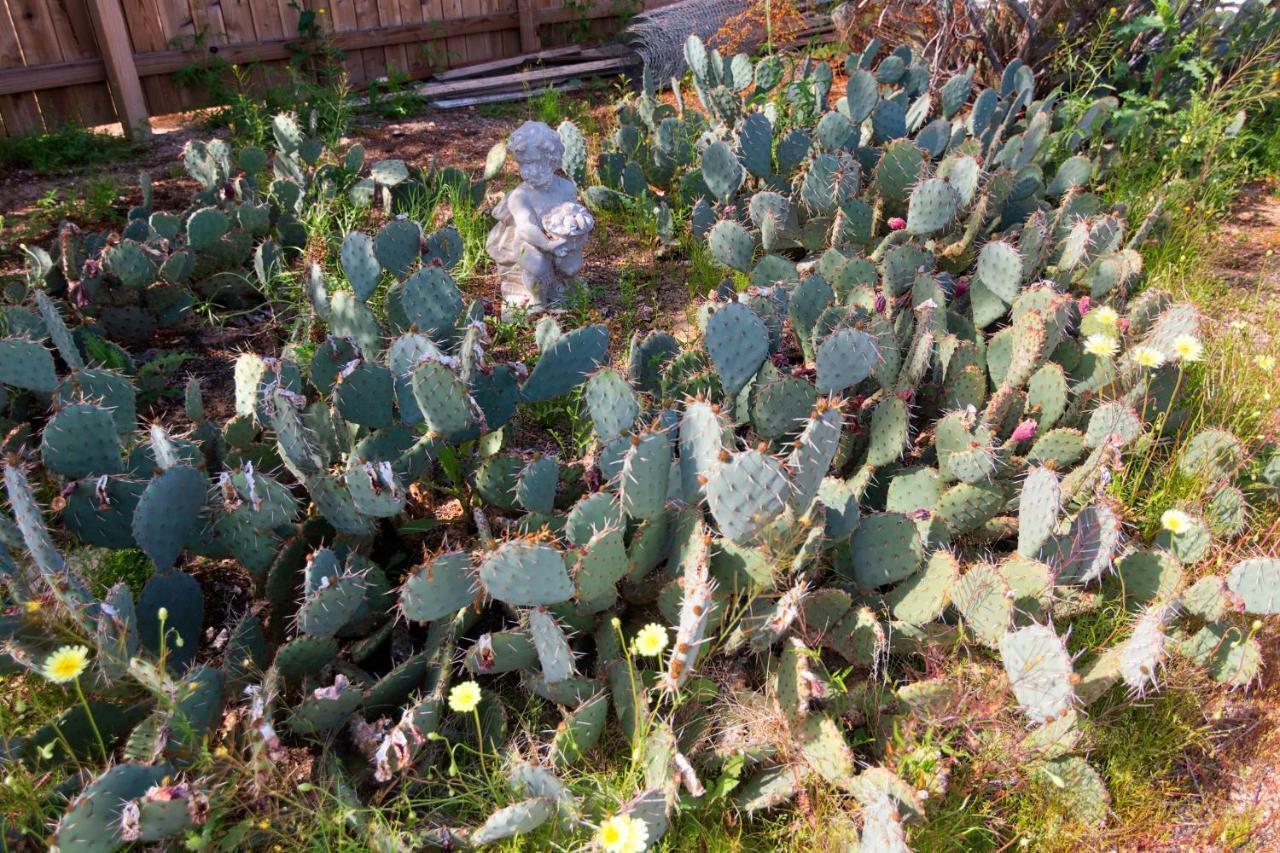 Cactus Adobe Villa Twentynine Palms Exterior photo